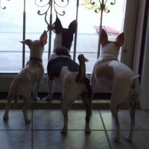 Meet your Posher, Aimee